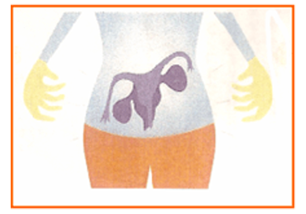 生理痛・生理不順・不妊などの要因